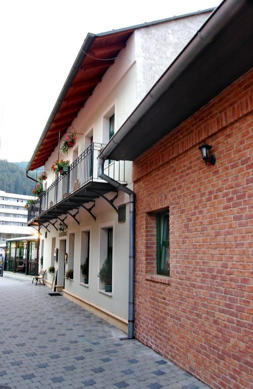 Penzión Zuzi Trenčianske Teplice Exterior foto